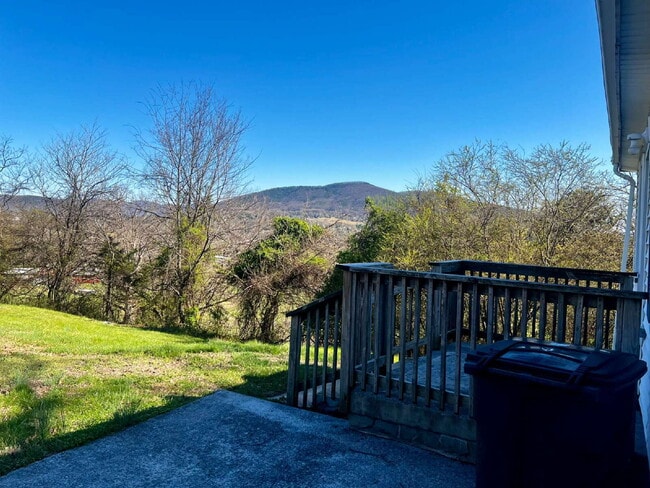 Photo - One Bedroom / One Bath Home on Large Lot