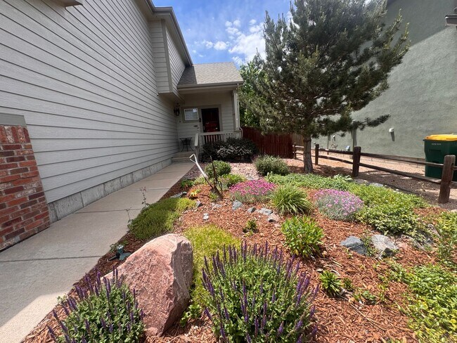 Photo - 3 Bedroom Home with Basement in Stetson Hills