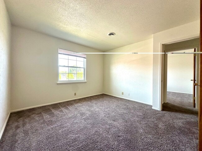 University Village & Court Living Apartments