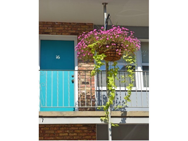 Colorful entry ways - Healey Gardens