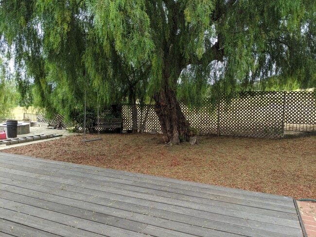 Photo - 276 Heavenly Valley Rd
