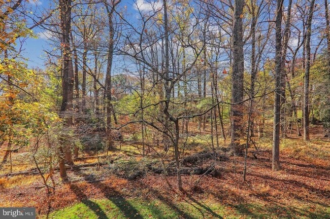 Photo - 1511 Hugo Cir