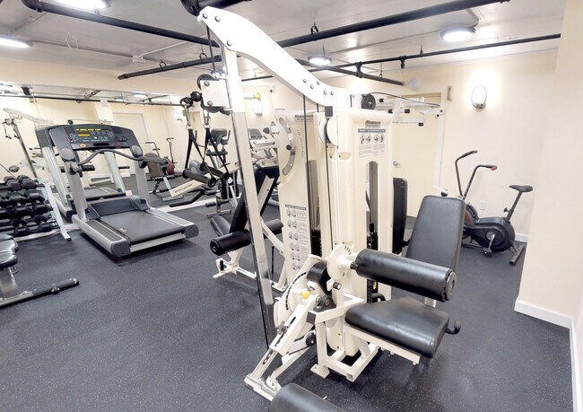 Photo - The Forest Park View