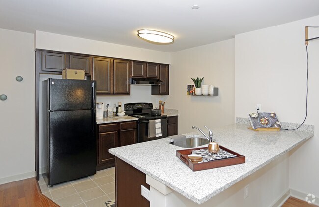 Photo - Harvard Printing II