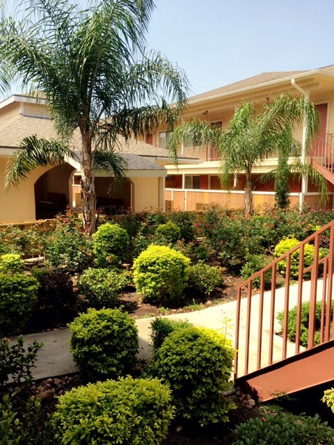Photo - Forest Palm Apartments