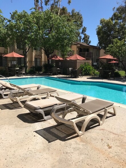 Pool with Sun Deck