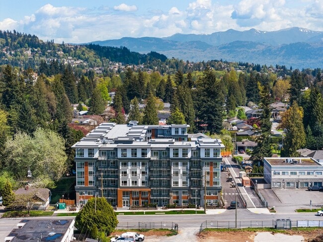 Photo - The McCallum