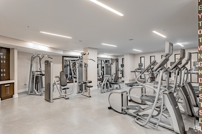 Gimnasio