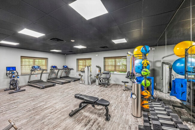 Gimnasio