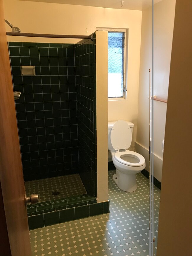 33 Alder Ave SE Unit C