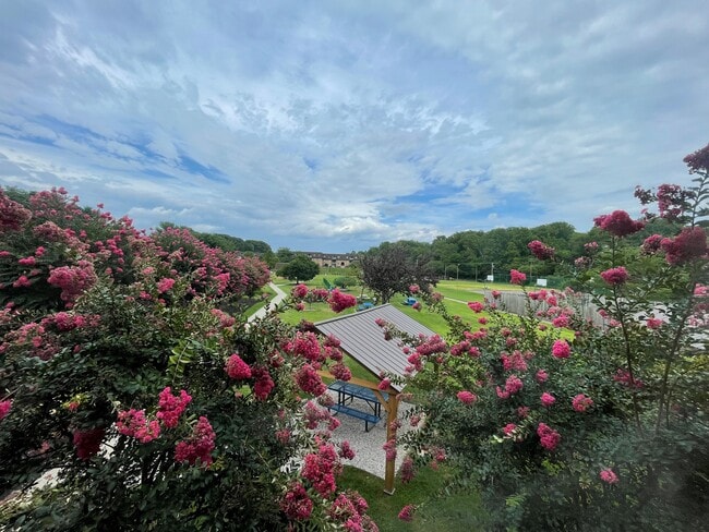 Summer 2022 - Autumn Ridge Apartments