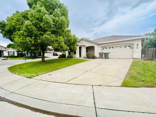 Building Photo - 300 Dedham Ct