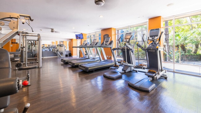 Gimnasio