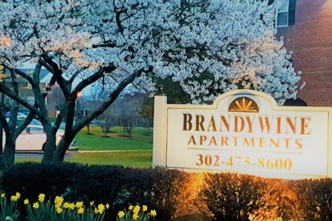 Brandywine Apartments - Brandywine Apartments