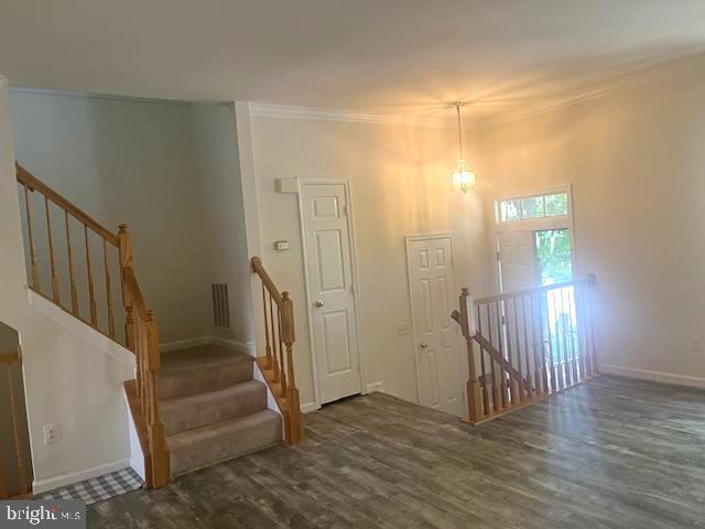 Building Photo - 2028 Madrillon Springs Ct