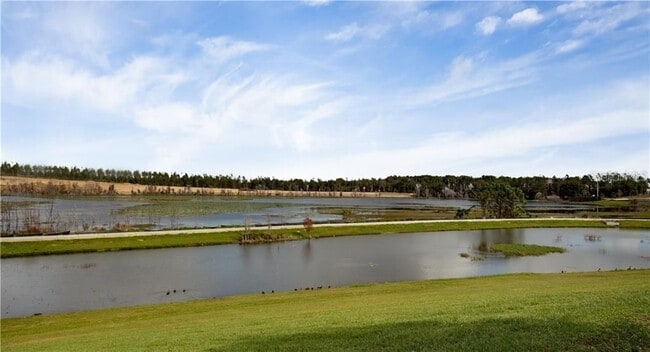 Photo - 2926 Black Birch Dr