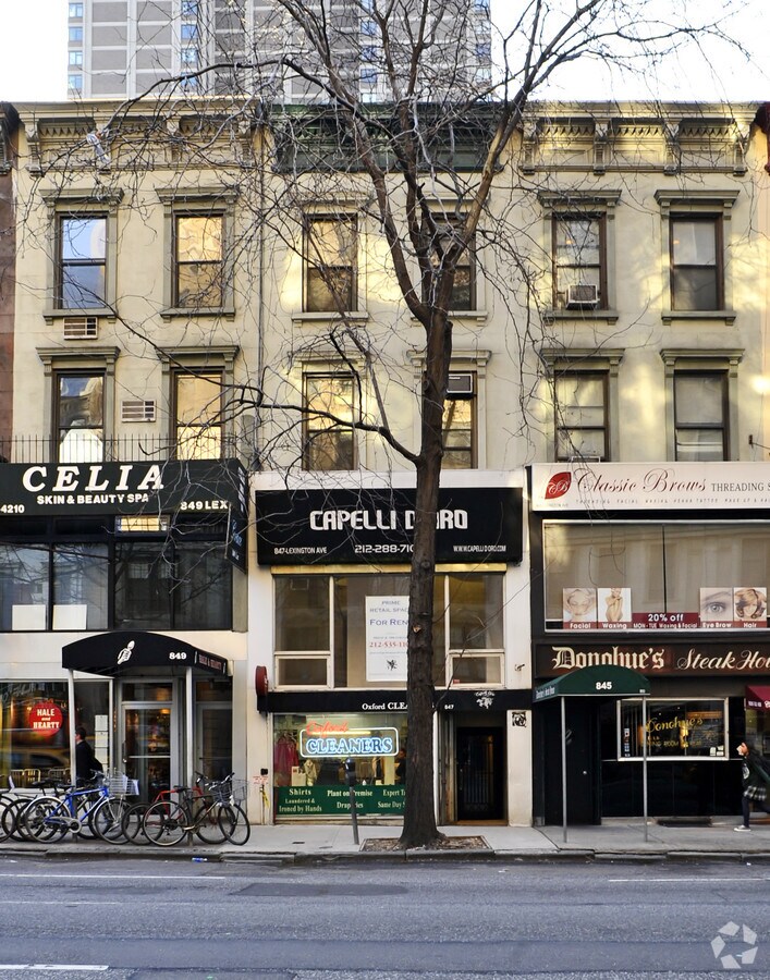 Building View - 847 Lexington Ave