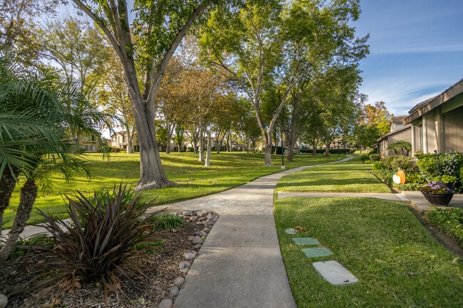 Photo - 5244 Edge Park Way