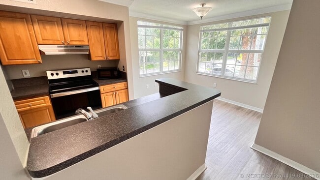 15035 Michelangelo Blvd Unit 202