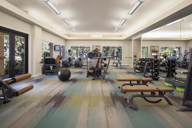 Torrey Hills Apartment Homes