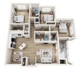 Springdale_C1