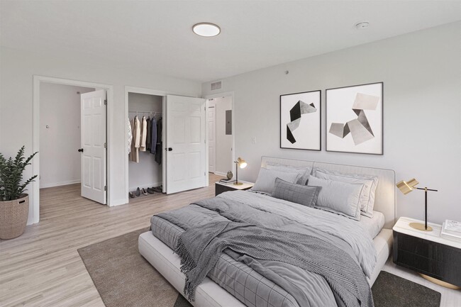 Photo - Autumn Woods