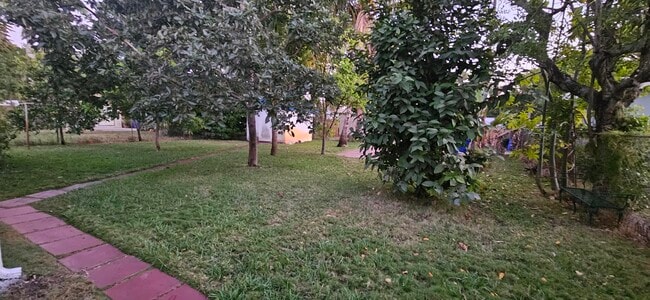 Back Yard - 1948 Roosevelt St