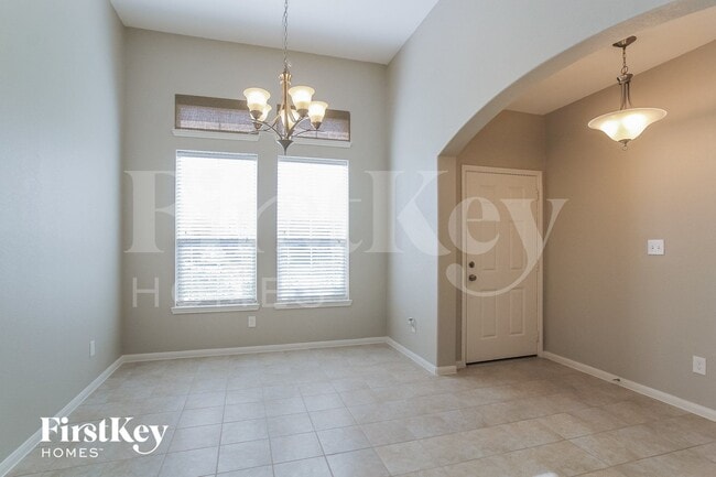 Photo - 331 American Black Bear