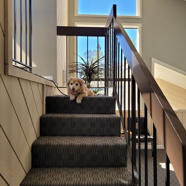 Photo - Ashwood Gardens