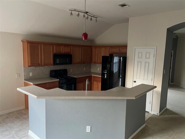 Photo - 1709 Bush Coat Ln