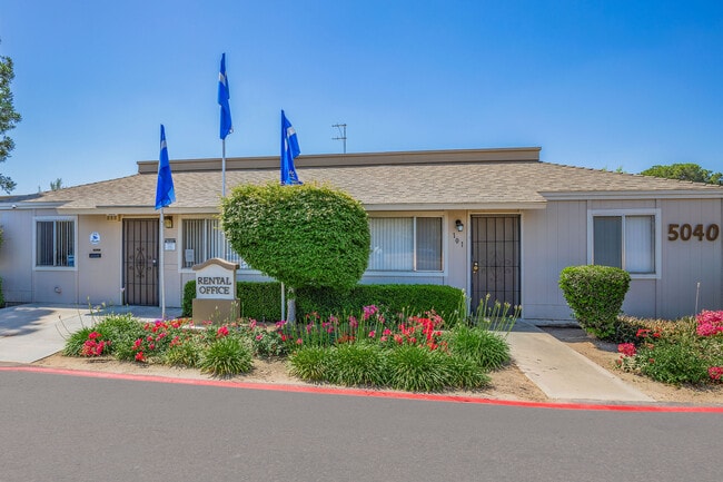 Photo - Ashbrier and Sandalwood