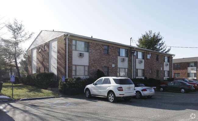 Photo - Forest Green