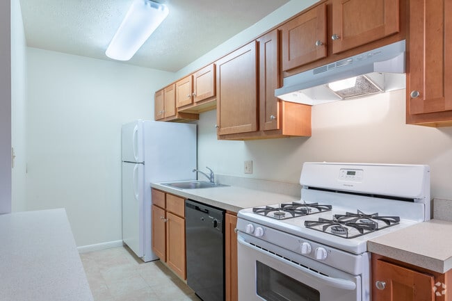 Chamberlain-Kitchen 1 Bedroom