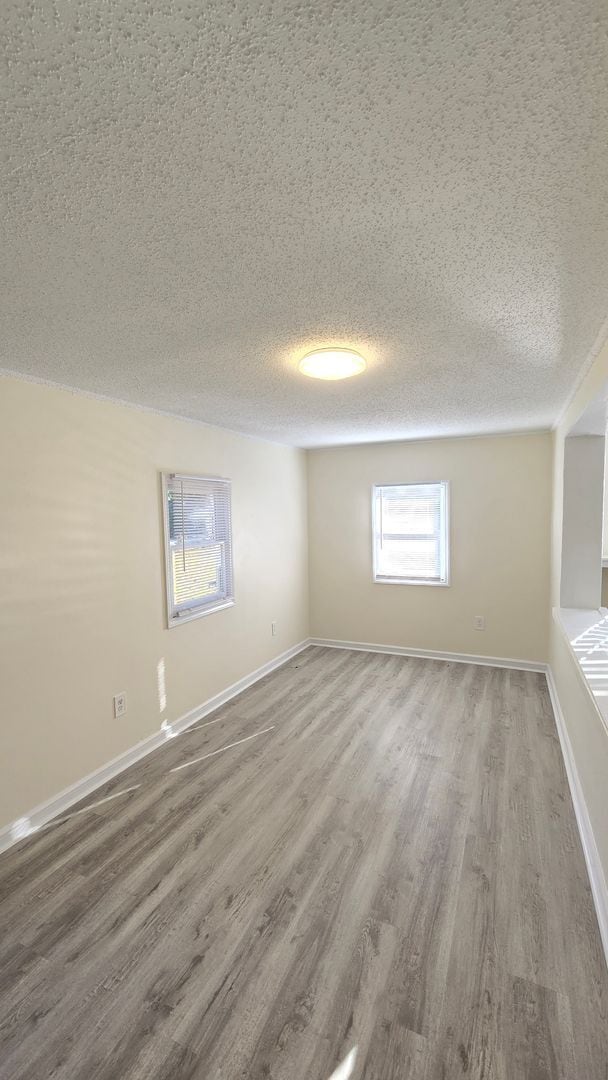 Photo - WRIGHTSVILLE AVENUE - 4 Bedroom - Minutes ...