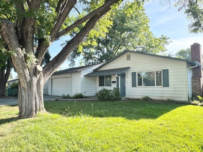 Building Photo - Available NOW - 3 Bed Home Near Bidwell Park