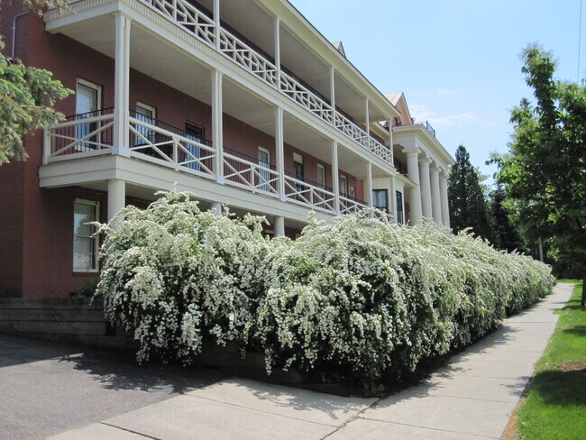 Photo - 326 College St Unit 14