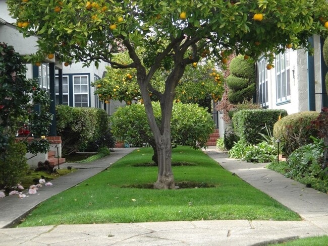 Patio - 130-132 Dartmouth Rd