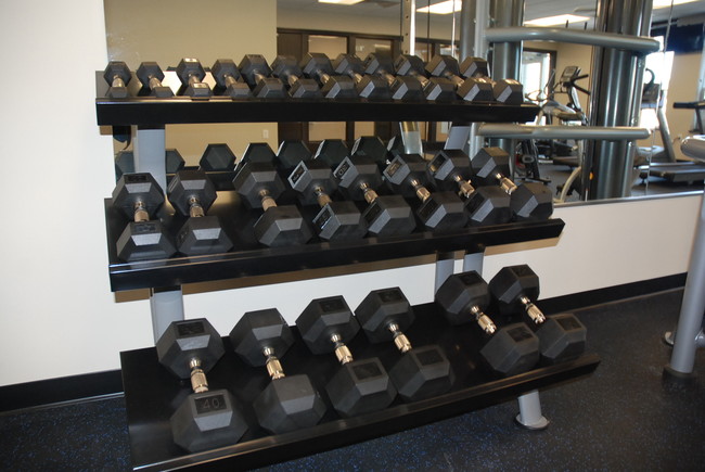 Free Weights
