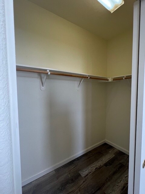 Photo - 309 Queencrest Ct