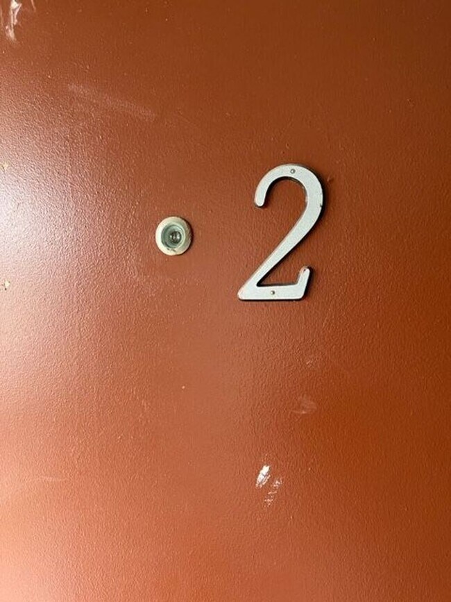 Photo - Newly Renovated Apartment in Nutbush