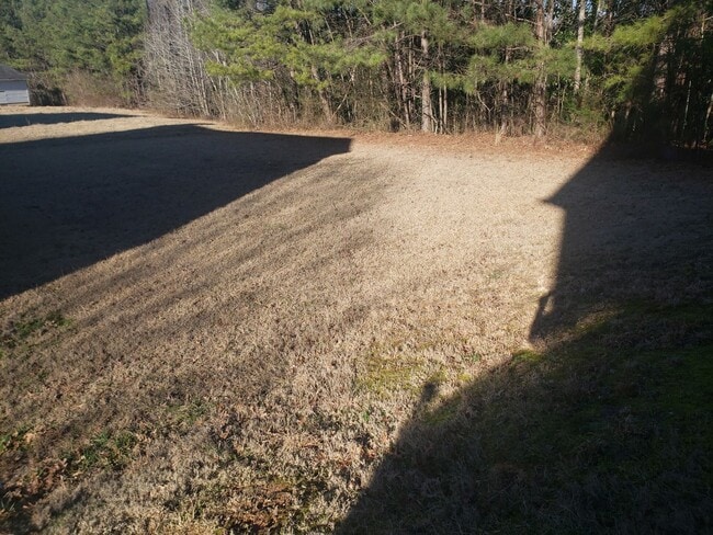 Photo - THE GOOD LIFE IN FAIRBURN