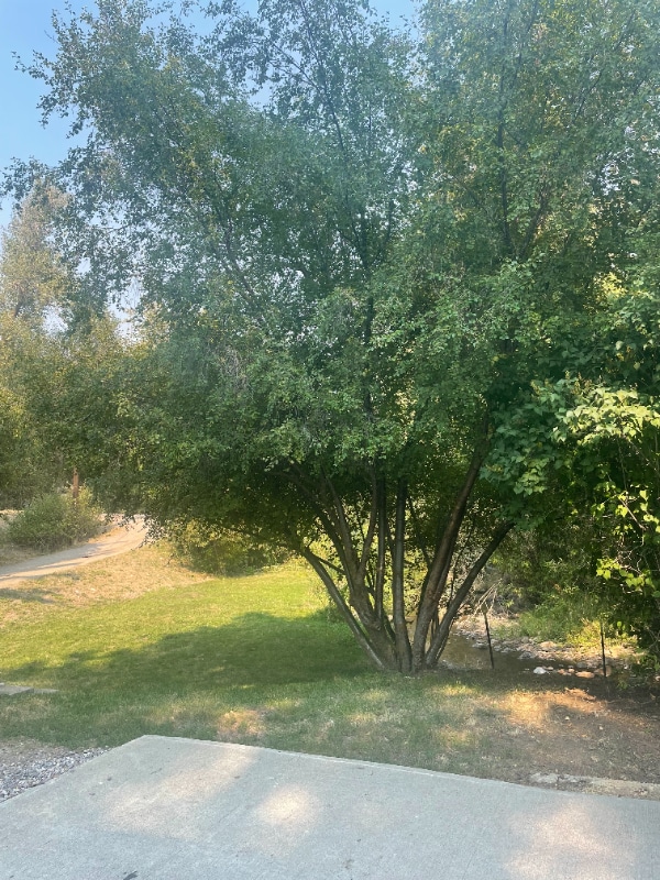 Photo - 33 E Inman Rd