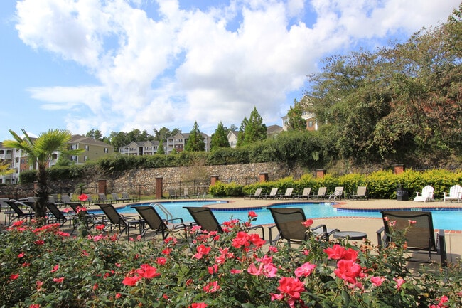 Pool and Flowers