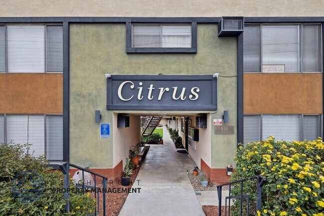 850 N Citrus St.
