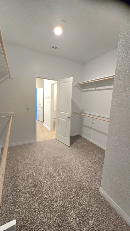 Photo - 2542 Ophelia Levi Ln