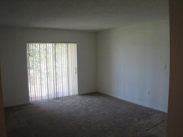 Photo - Cutler Hammock