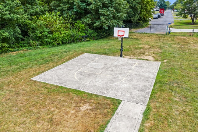 Basketball Court