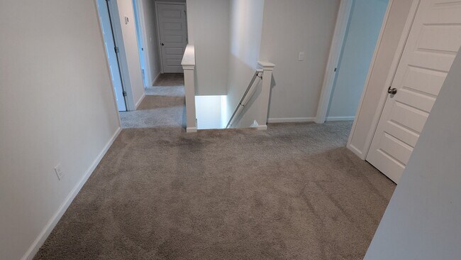 Photo - 112 Painted Lady Lp