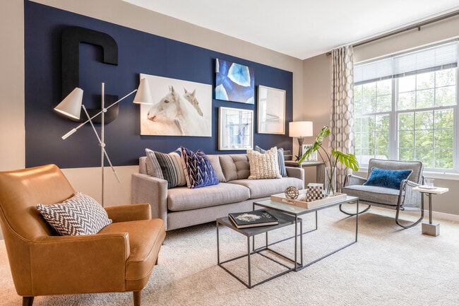 Designer Collection Living Room