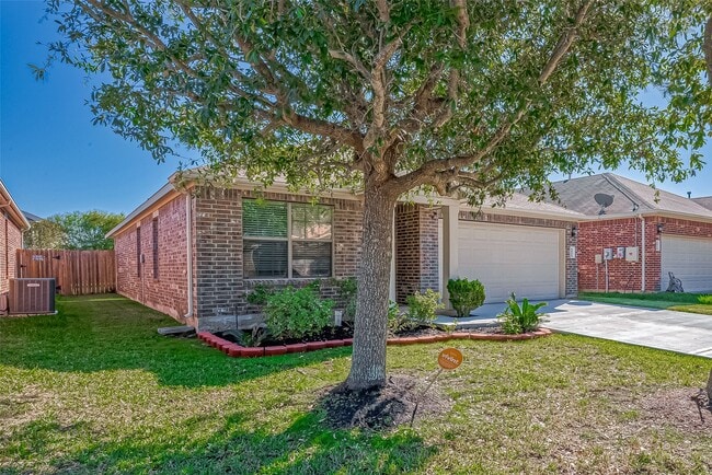 5822 Camelia Evergreen Ln
